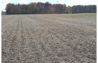 Property photo 47 - 75.3 Acres Offered in 2 Tracts